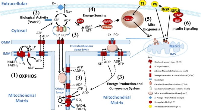 Figure 1.