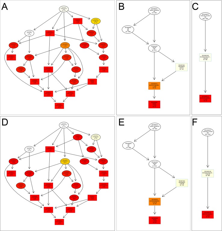 Fig 5