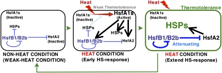 Figure 9.