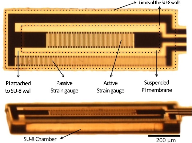 Fig. 7