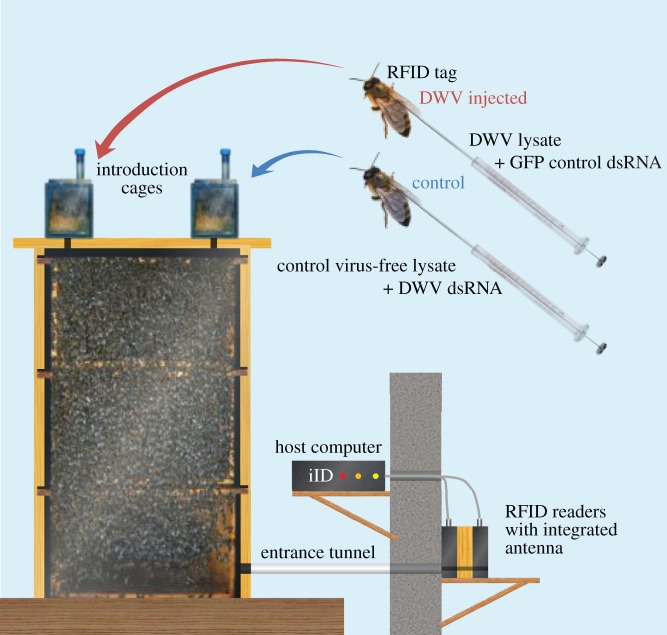 Figure 1.