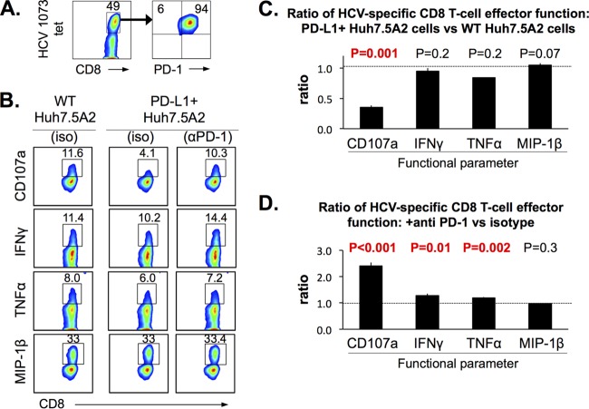 FIG 6