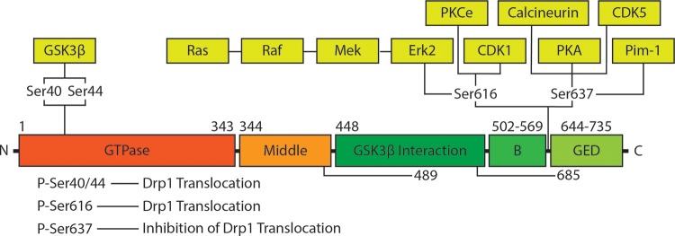 Fig. 2.