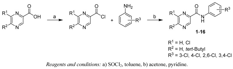 Scheme 1