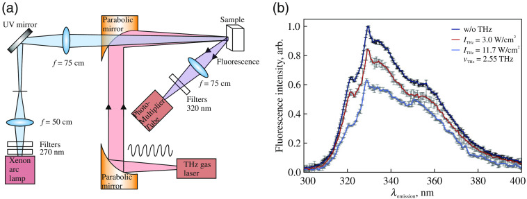 Fig. 9