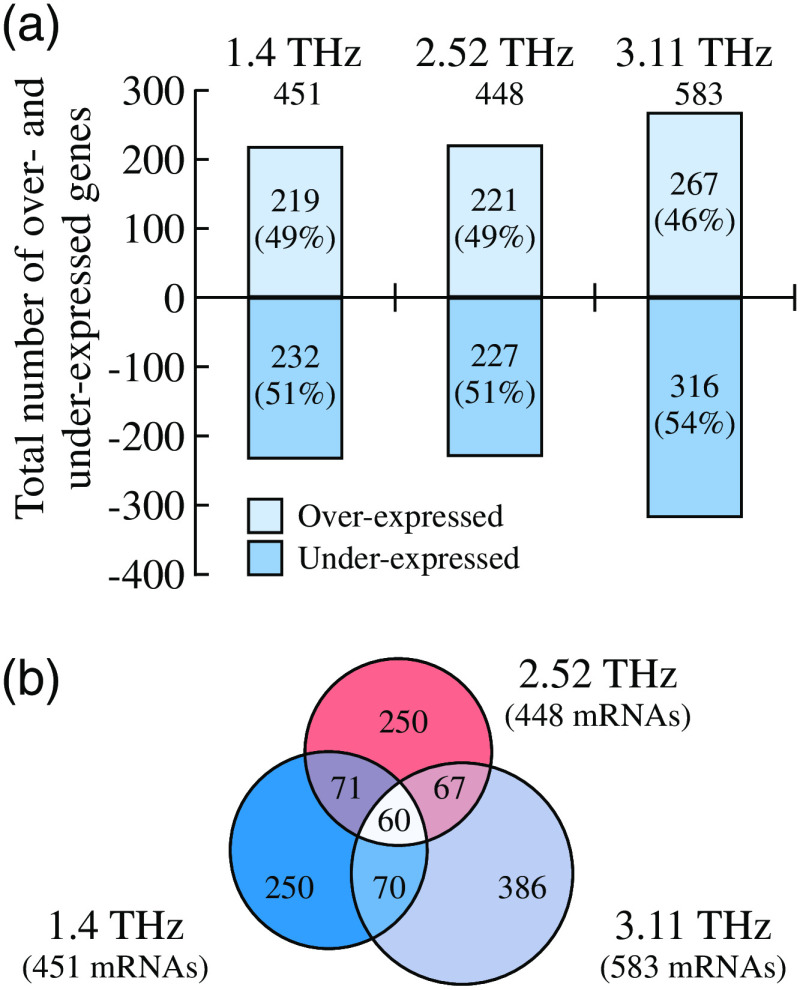 Fig. 13