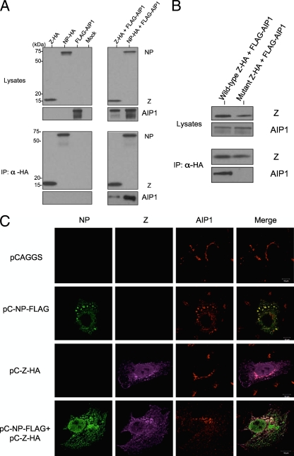 FIG. 4.