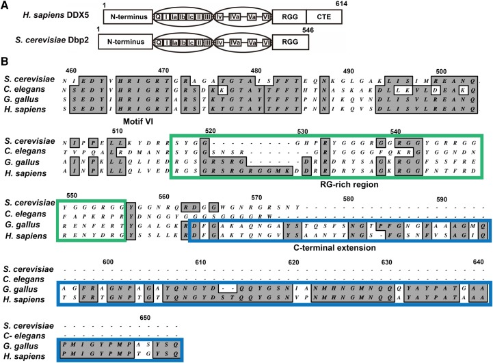 FIGURE 1.