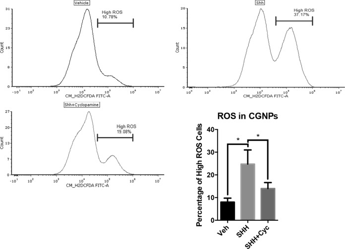 FIG 3