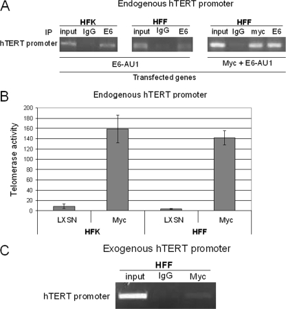 FIG. 6.