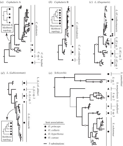 Figure 2.