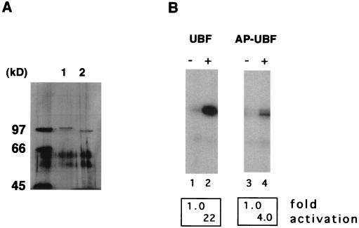 FIG. 7