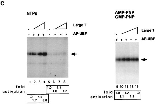 FIG. 7