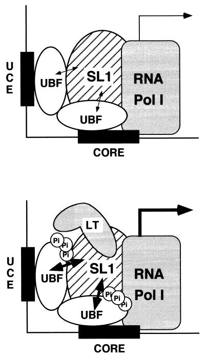 FIG. 8