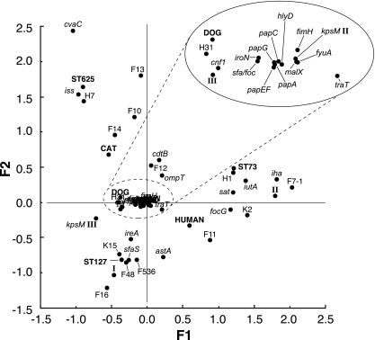 FIG. 2.