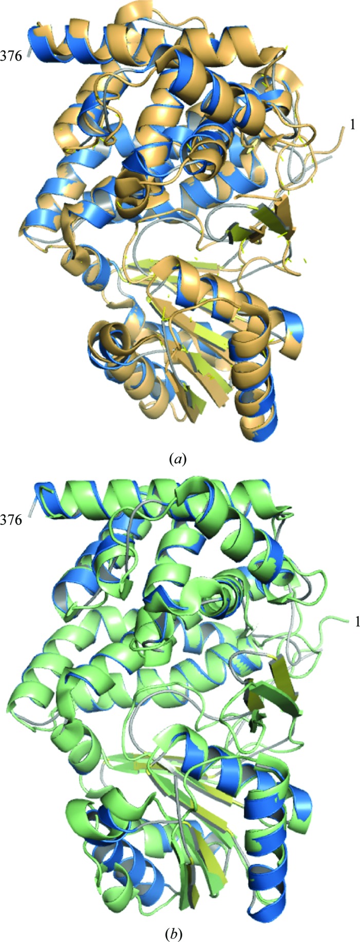 Figure 6