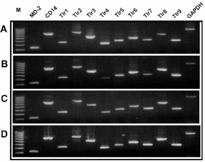 FIG. 4.