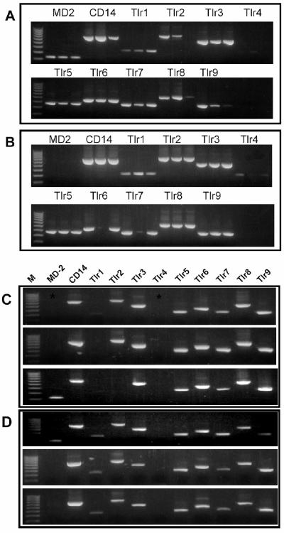 FIG. 5.