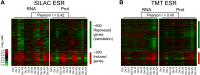 Figure 6—figure supplement 1.