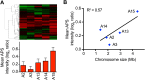 Figure 6—figure supplement 2.