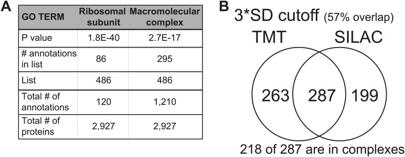 Figure 2—figure supplement 2.