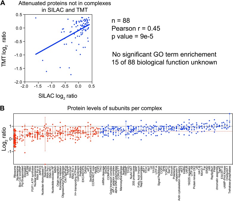 Figure 5—figure supplement 2.