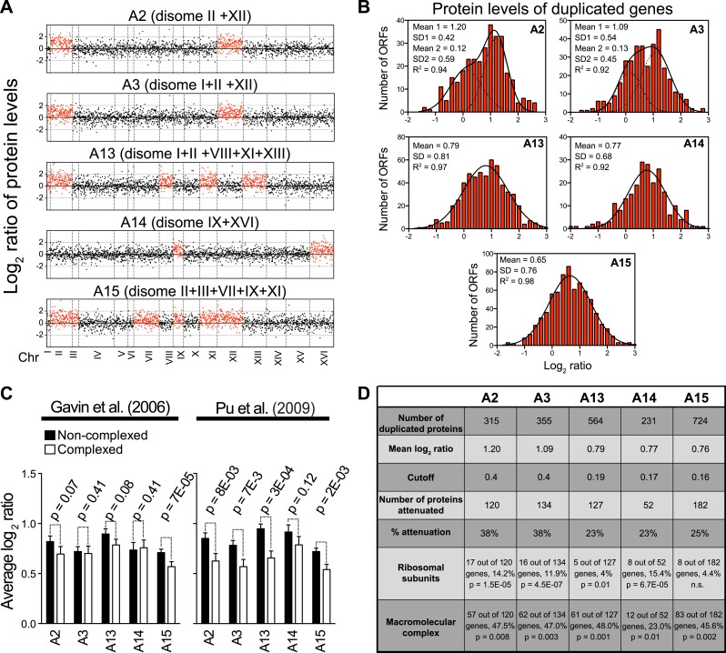 Figure 3—figure supplement 1.