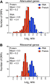 Figure 3—figure supplement 2.