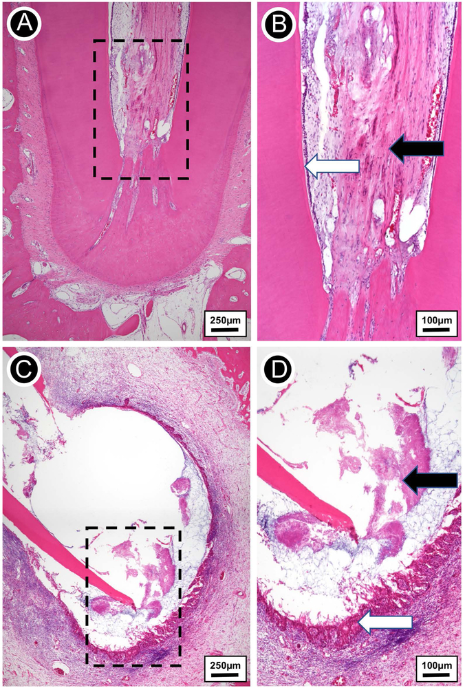 FIGURE 7.