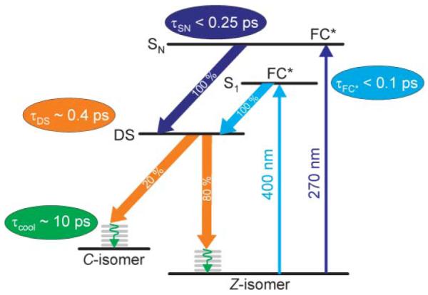 Fig. 4