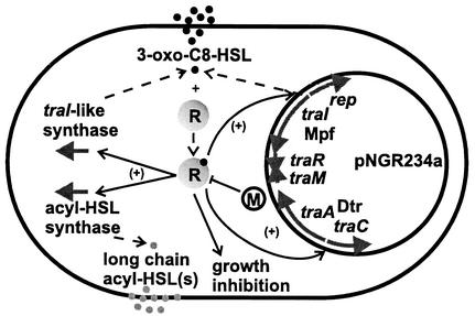 FIG. 6.