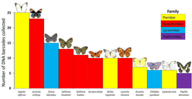 Figure 5.