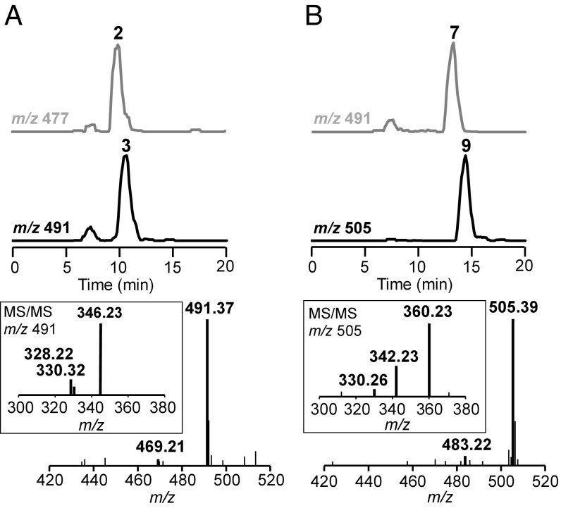 Fig. 4.