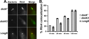 FIG 5