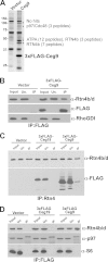 FIG 1