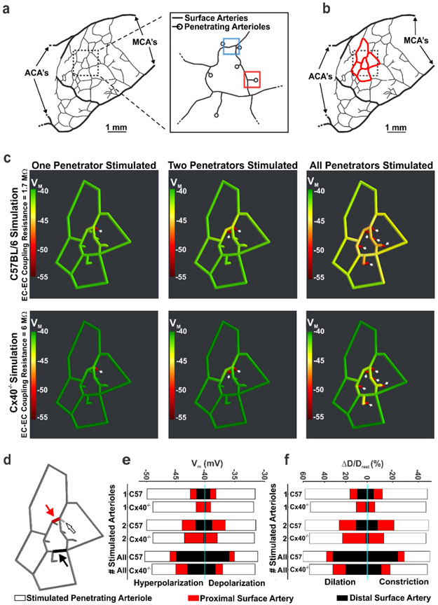 Figure 4: