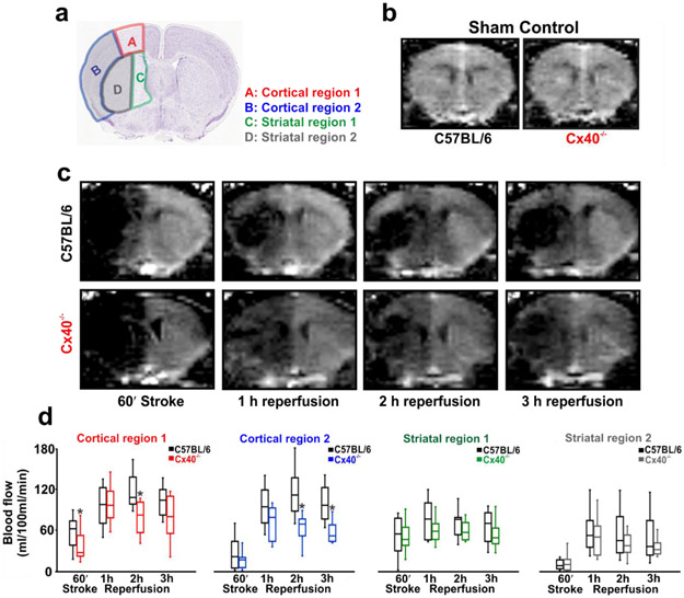 Figure 6: