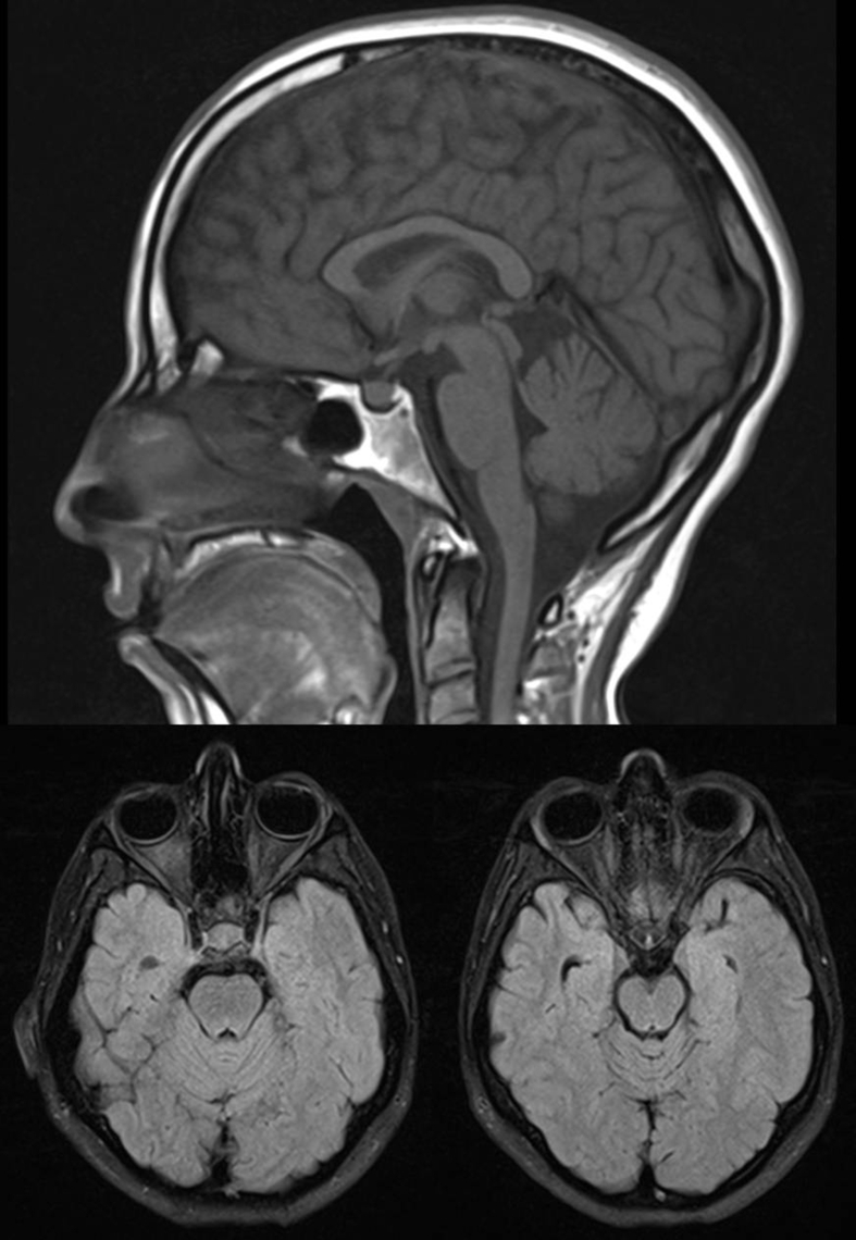 Figure 2