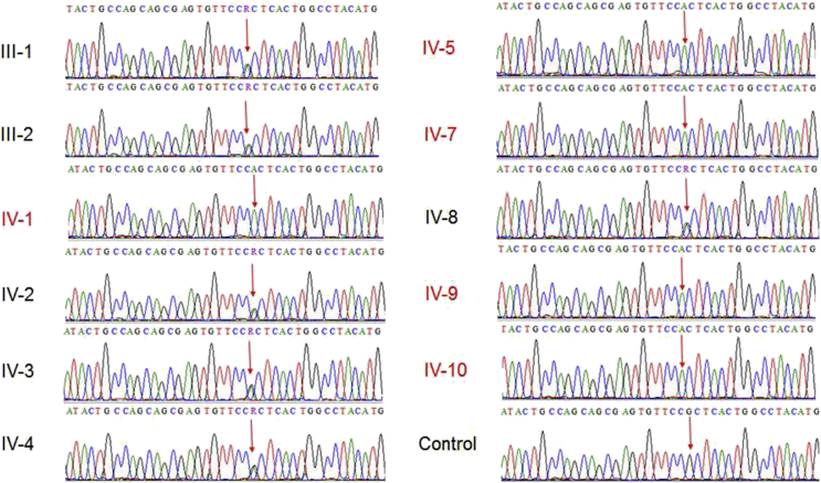 Figure 3