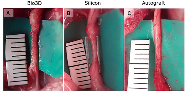 Figure 5.