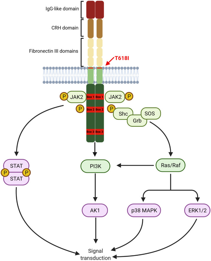 Figure 1