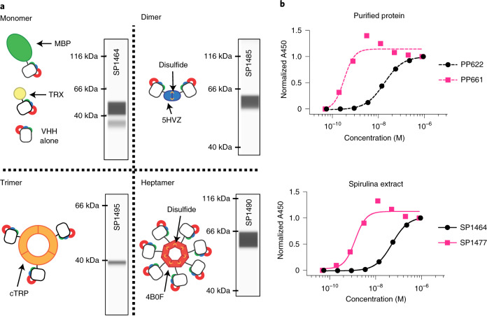 Fig. 2