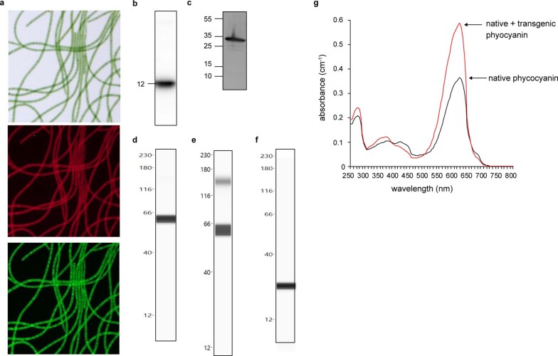 Extended Data Fig. 3