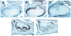Fig. 8
