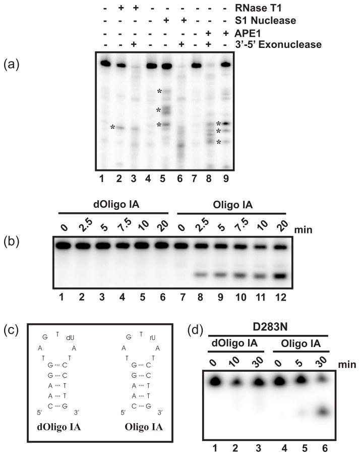 Fig. 5