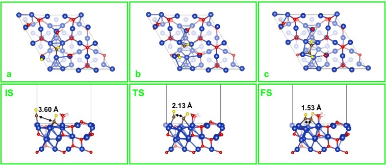 Fig. S6.