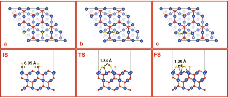 Fig. S5.