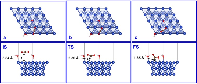 Fig. S1.