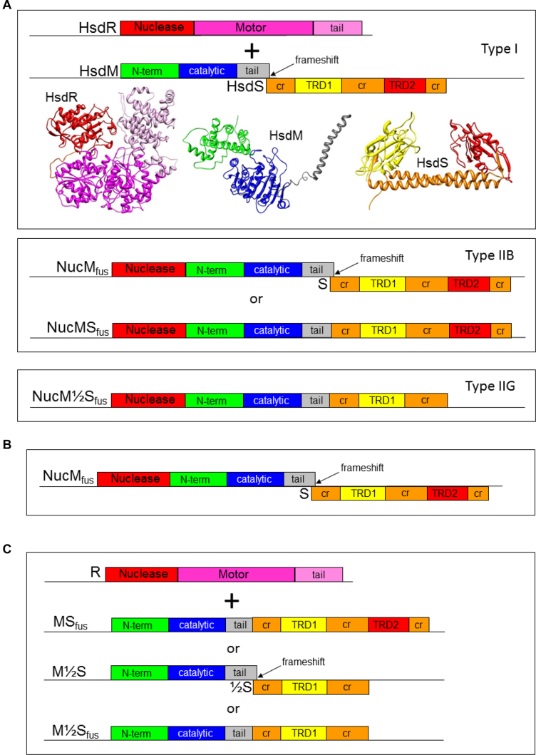 Figure 1.