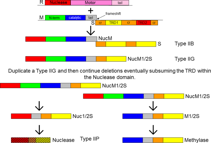 Figure 3.